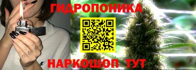 СК Ликино-Дулёво
